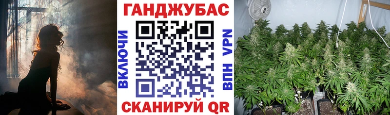 Каннабис ГИДРОПОН Балахна